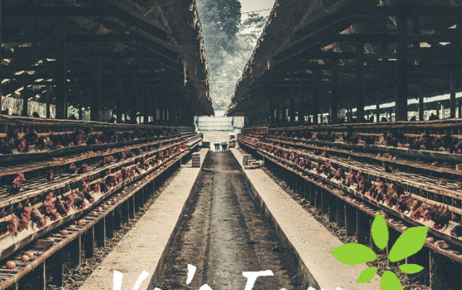 Vy Farm