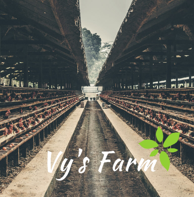 Vy Farm