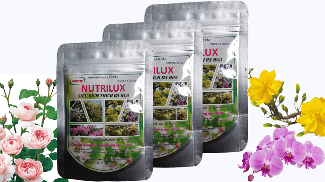 Nutrilux super flower là thuốc kích hoa hồng ra hoa sớm nhất