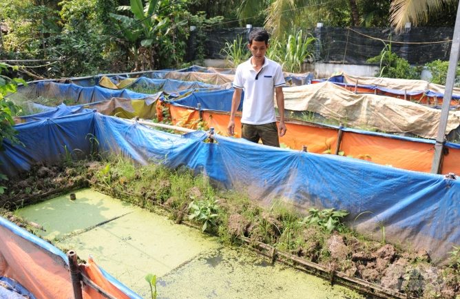 Nuôi lươn thâm canh công nghệ tuần hoàn nước - Aquaculture